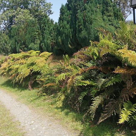 Cabanas Trapen Puerto Montt Kültér fotó