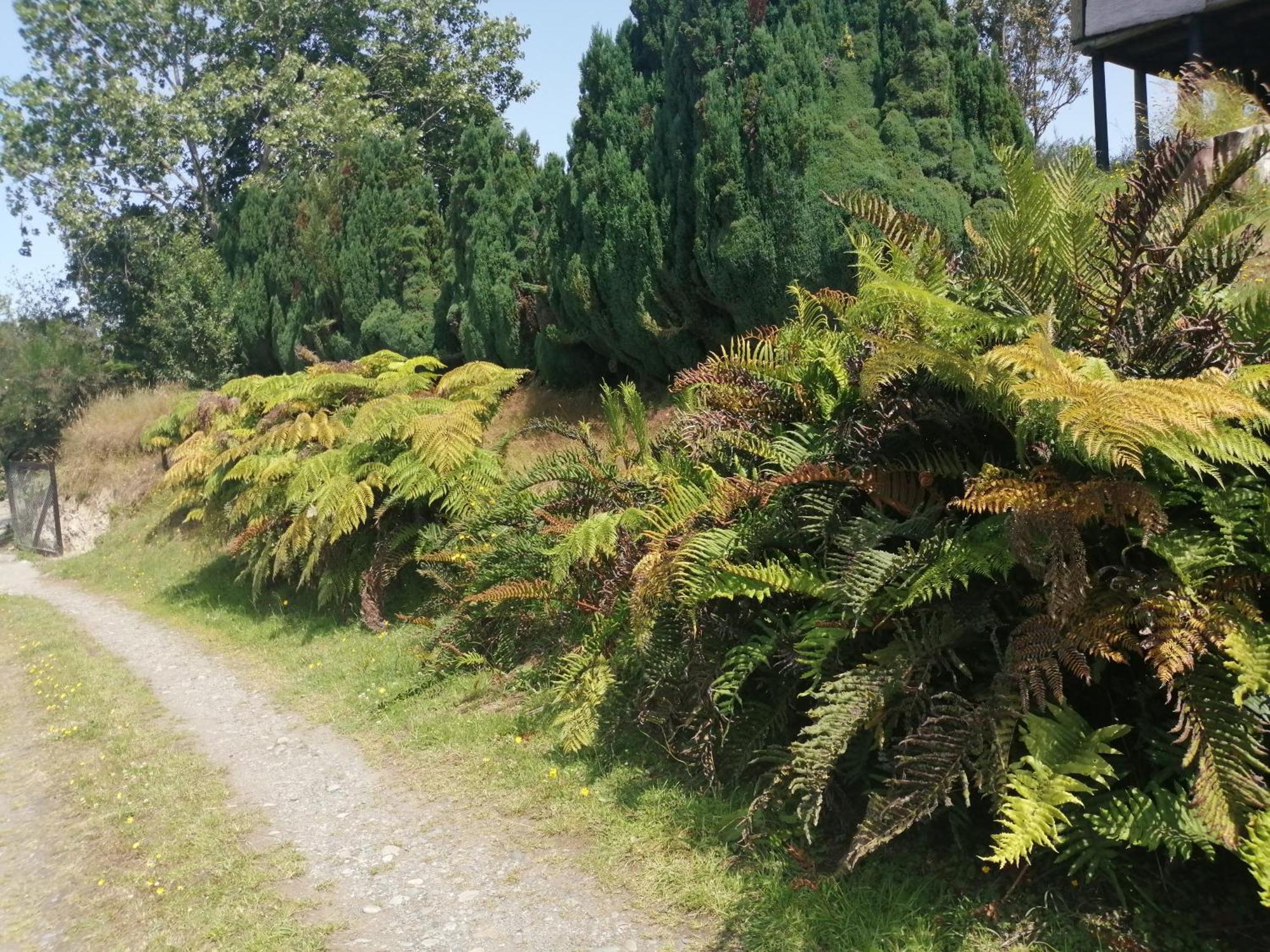 Cabanas Trapen Puerto Montt Kültér fotó